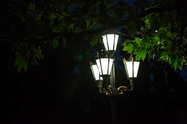 어둠 속에서 거리 등불 — 스톡 사진