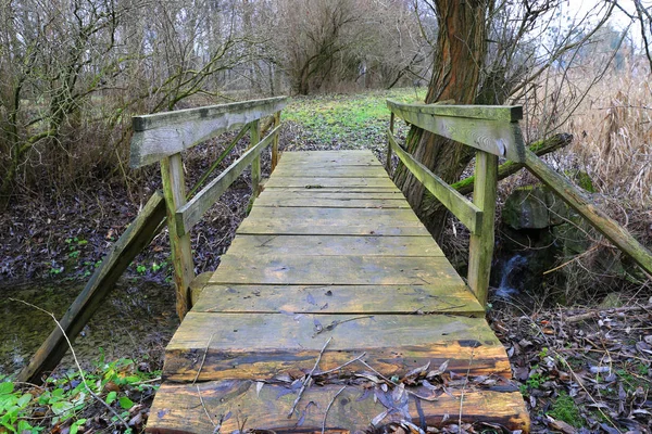 Ponte de madeira no parque — Fotografia de Stock