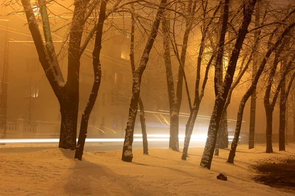 Nacht winter park — Stockfoto