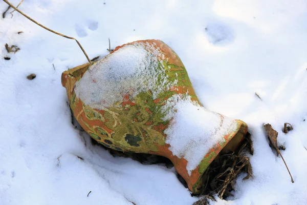 雪の中で壊れた粘土の水差し ウクライナでそれを取る — ストック写真