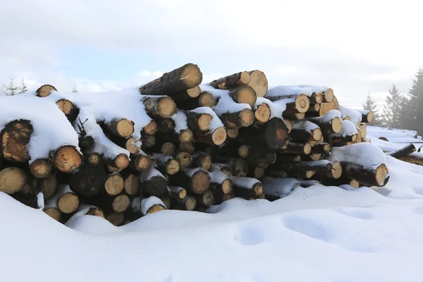 Wooden logs under snow — Stock Photo, Image