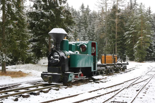 Вінтажний поїзд в зимовому лісі — стокове фото