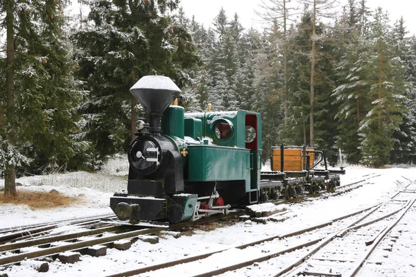 Oldtimerzug im Winterwald — Stockfoto