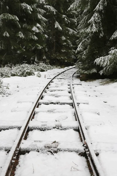 Spoorwegen in winter forest — Stockfoto