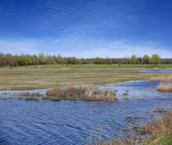 Overstroomd weide landschap — Stockfoto