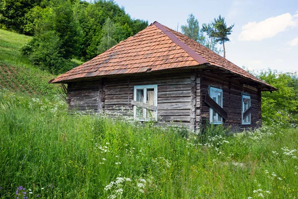 Geleneksel Karpatlar kırsal ev — Stok fotoğraf