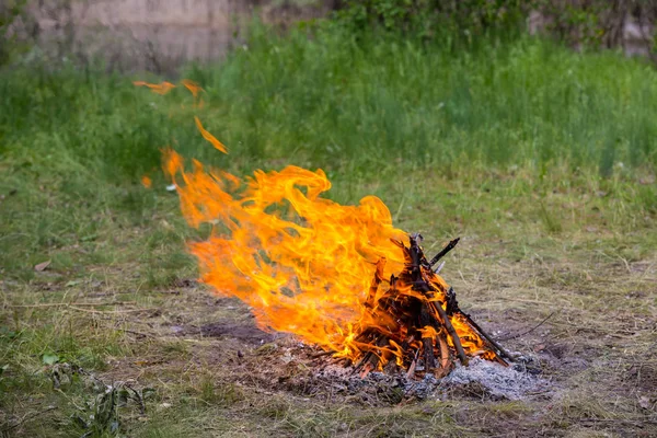 Brinnande eld på grön äng — Stockfoto