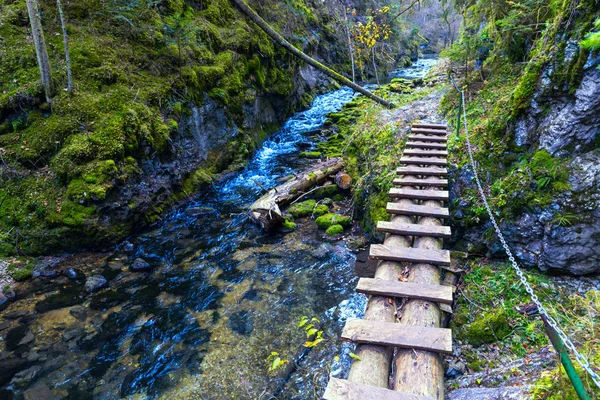 Pont en bois et clôture de chaînes en acier sur la rivière — Photo