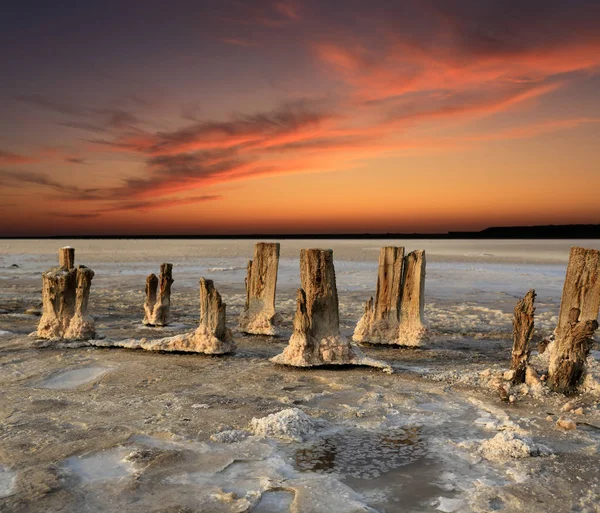 Viejos postes de madera en un lago salado sobre fondo de puesta del sol cielo rojo —  Fotos de Stock