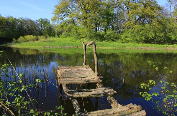 Rybářský most na jezeře v lese — Stock fotografie