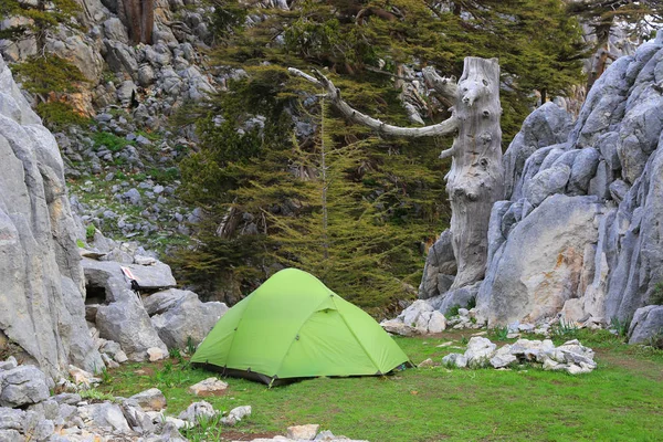 Dağlardaki çayırlarda turist çadırı — Stok fotoğraf