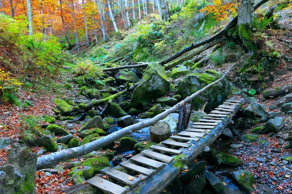 Pont en bois au-dessus du ruisseau en forêt — Photo