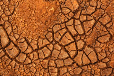 Kuru çatlamış toprak