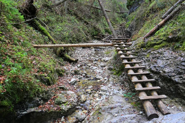高山峡谷中的木桥 — 图库照片