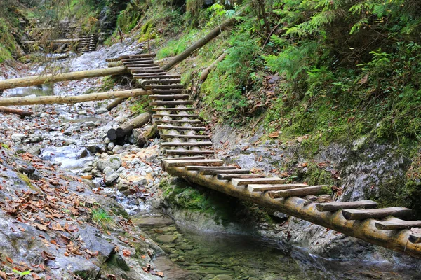 Dağ geçidindeki patikada tahta merdivenler. — Stok fotoğraf