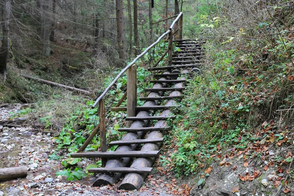 Wooden stairs in mountain gorge — Stock Photo, Image