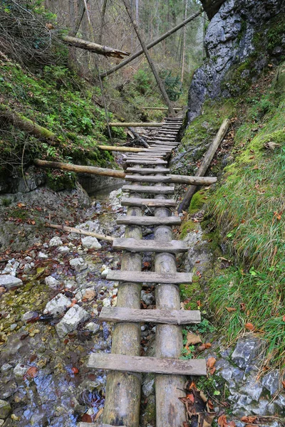 高山峡谷溪流上的木制楼梯, — 图库照片