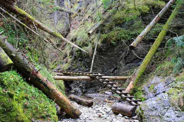 Slovakya 'daki Slovensky Raj Dağı' ndaki ahşap merdivenler — Stok fotoğraf