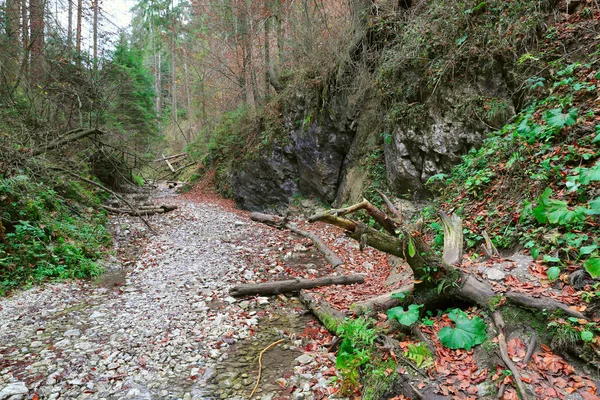 スロヴェニアの山岳峡谷Raj,スロバキア ストック写真