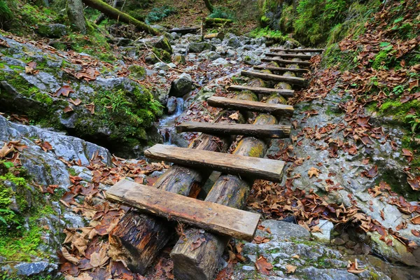 Slovenya dağ geçidinde ahşap merdivenler. — Stok fotoğraf
