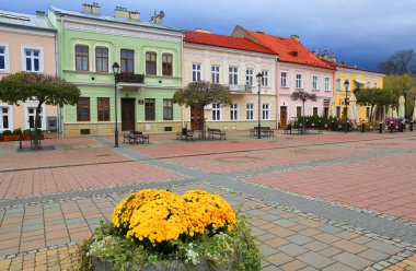 Polonya 'nın Sanok şehrinde, meydanda sonbahar çiçekleri