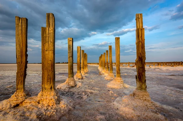 Старые сваи в соленом озере — стоковое фото
