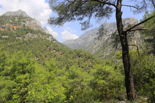 Paesaggio di montagna in Turchia — Zdjęcie stockowe