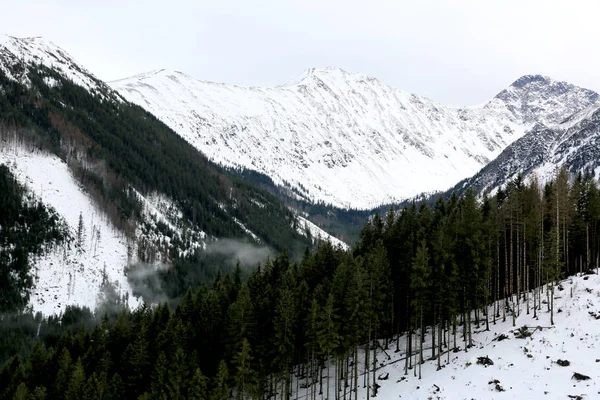 西鞑靼山脉的冬季 — 图库照片