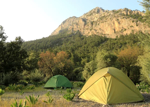 Dağlardaki Çayırlarda Kamp Yapan Turist Çadırları Sabah Manzarası — Stok fotoğraf