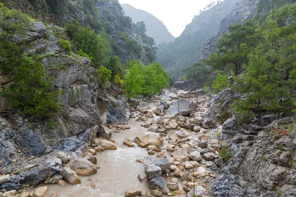 Paysage Avec Rivière Montagne Orageuse Sous Pluie Prenez Dans Canyon — Photo