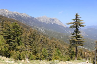 Türkiye 'nin ünlü Likya Yolu turist yolu üzerindeki dağ manzarası. Dağlara bak