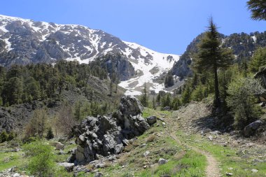 Dathaly Dagi dağına giden patikalı bir manzara. Türkiye 'de Meşhur Lician Way turizm yolu
