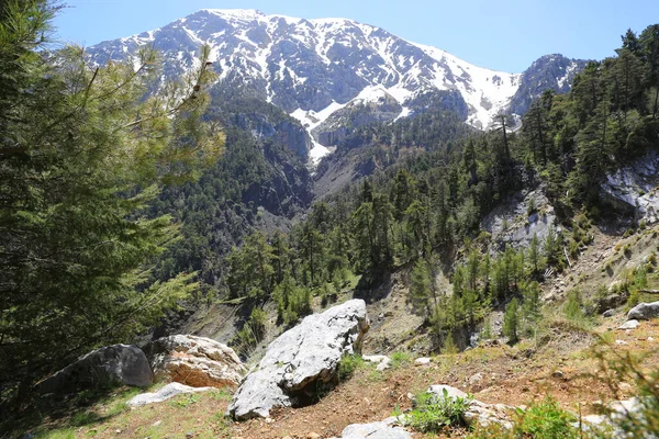 Landschap Met Majestueuze Tahtali Dagi Bergen Liciaanse Manier Toeristische Pad — Stockfoto