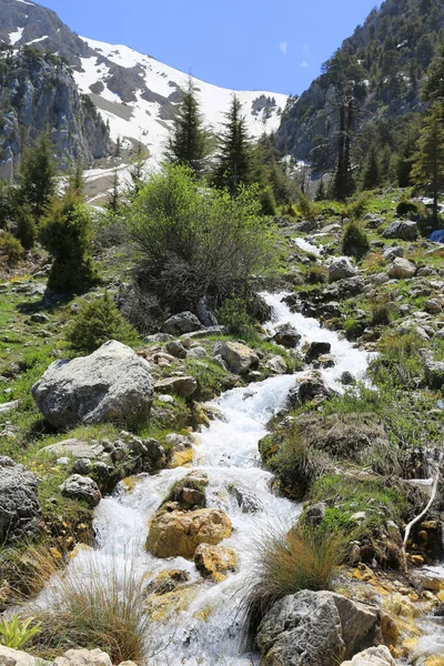 Landschap Met Bergbeek Bij Tahtali Dagi Turkije — Stockfoto