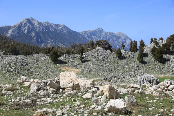 绿山草甸上的岩石景观 在土耳其的Likya Yolu著名的旅游胜地吃吧 多山的阳光灿烂的日子 — 图库照片