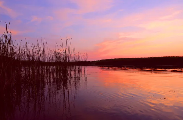 Вечерний Пейзаж Закатом Озере — стоковое фото