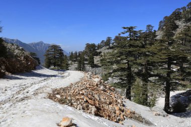 Türkiye 'de Tahtali Dagi' ye giden dağ yolu. Yoly Turist Yolu Gibi
