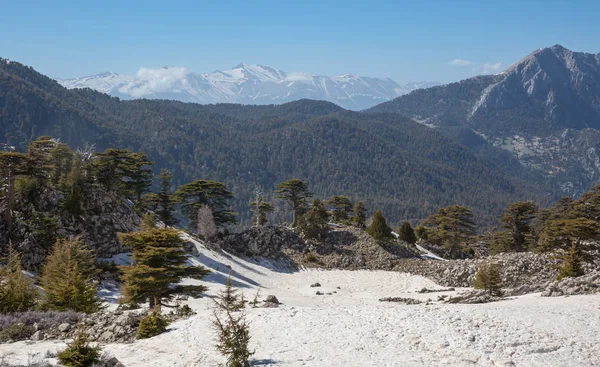 Schöne Landschaft Den Türkischen Bergen Der Nähe Des Tahtali Dagi — Stockfoto