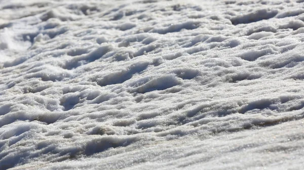 阳光下美丽的抽象雪面 — 图库照片