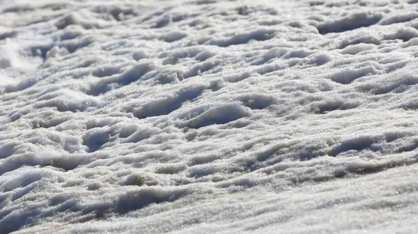 Nice Abstract Snow Surface Sunlight — Stock Photo, Image