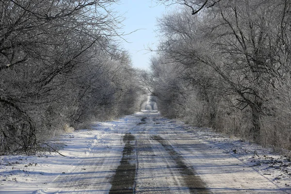 冬季有乡村道路的景观 — 图库照片