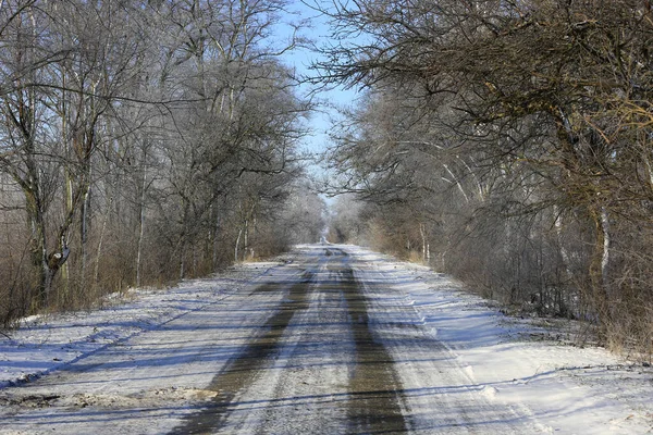 Nice Sunny Landscape Countryside Road Frozen Trees — Stock Photo, Image