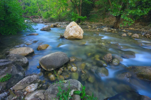 与山河在绿色森林景观 — 图库照片