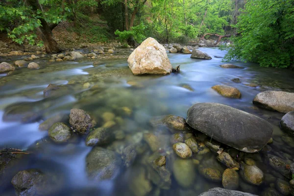 緑の森の渓流と風景 — ストック写真