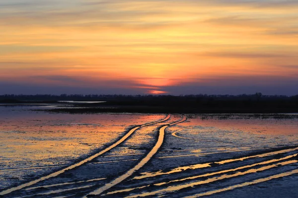 Landschap Met Overstroomd Pad Weide Onder Lente Zonsondergang Hemel — Stockfoto