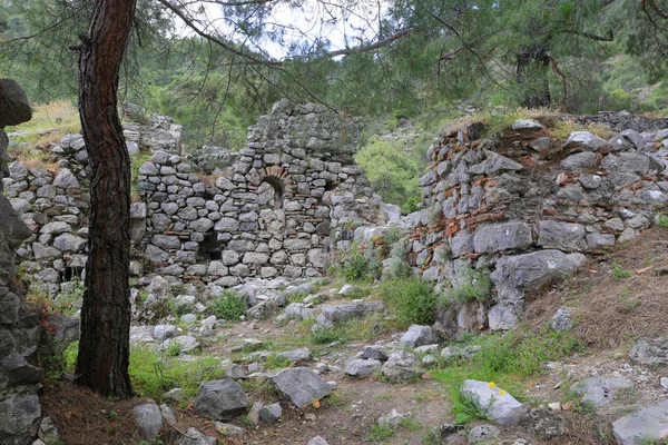 Chimère Église Ruine Dans Forêt Près Yanartash Près Village Cirali — Photo
