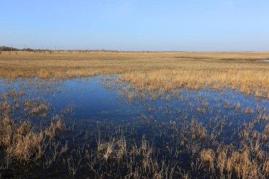 Güneşli bahar gününde bozkırda sel basmış tarla
