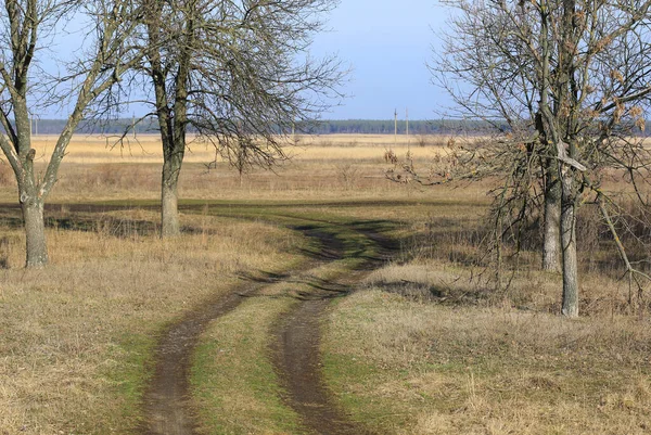 Krajobraz Polną Drogą Stepie Wiosennym — Zdjęcie stockowe