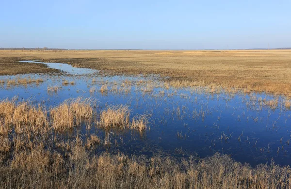 Landscape Flooded Meadow Spring Steppe — Stock Photo, Image