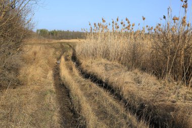 Bahar zamanı çayırda kirli yol 